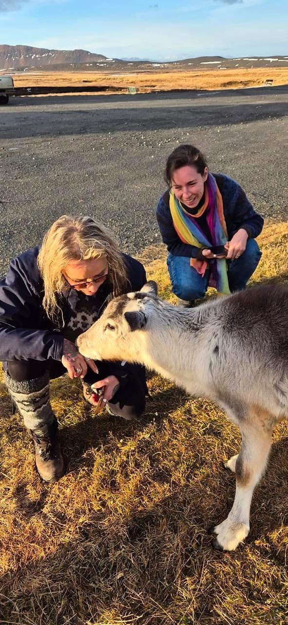 A private custom trip in Iceland
